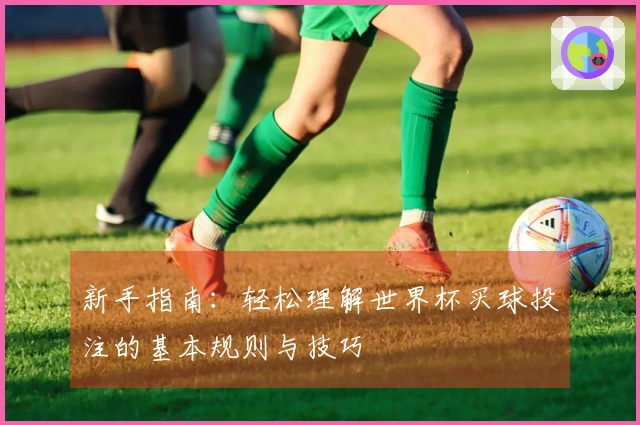 新手指南：轻松理解世界杯买球投注的基本规则与技巧