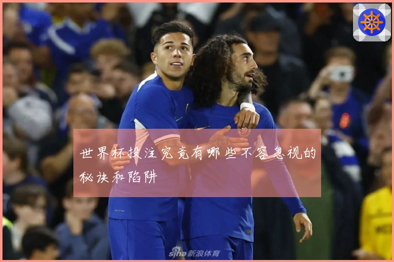 世界杯投注究竟有哪些不容忽视的秘诀和陷阱