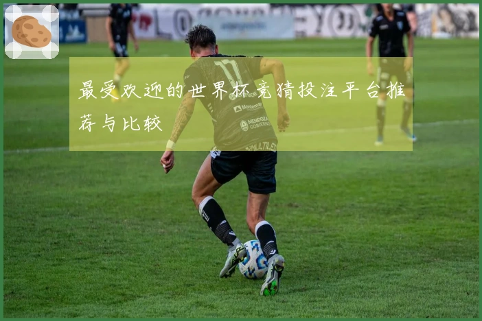 最受欢迎的世界杯竞猜投注平台推荐与比较